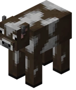 Vaca